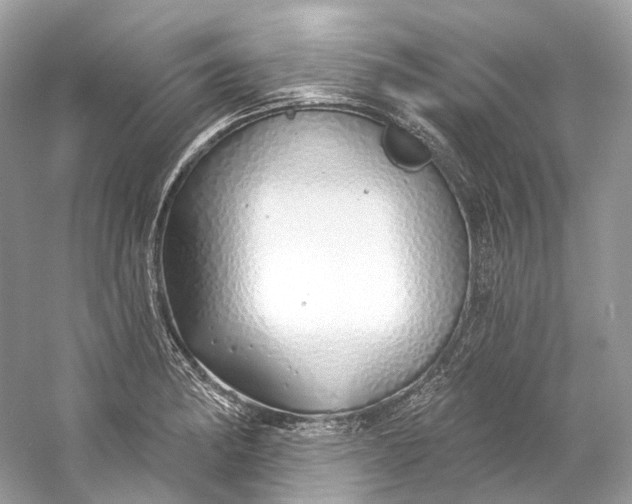 X0000060761182200512011505