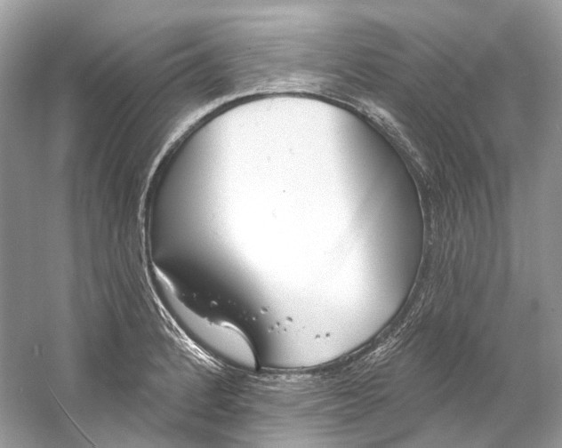 X0000060761184200512011505