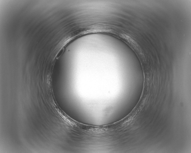 X0000060761185200512011505
