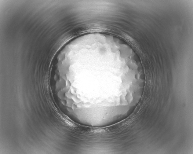 X0000060761186200512011505