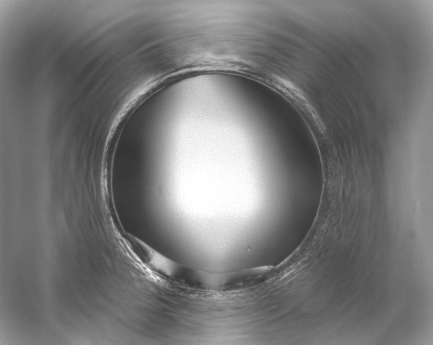 X0000060761188200512011505