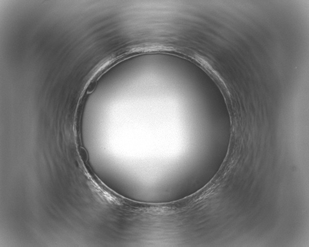 X0000060761189200512011505