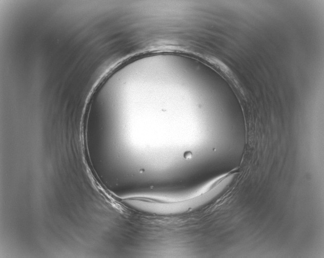 X0000060761191200512011505