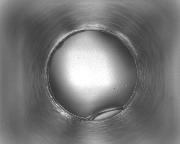 X0000060761192200512011505