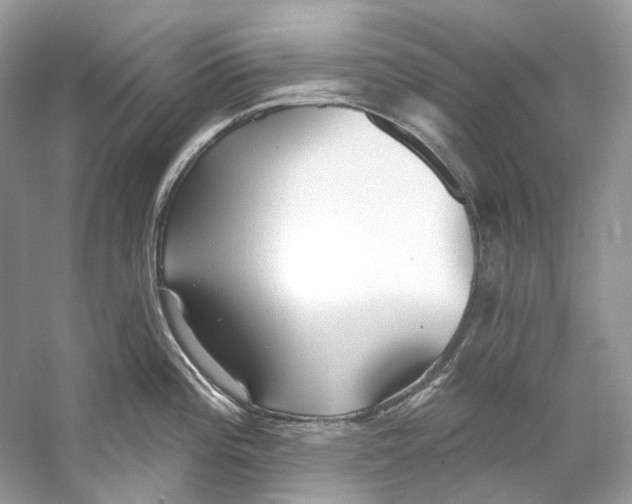 X0000060761196200512011505