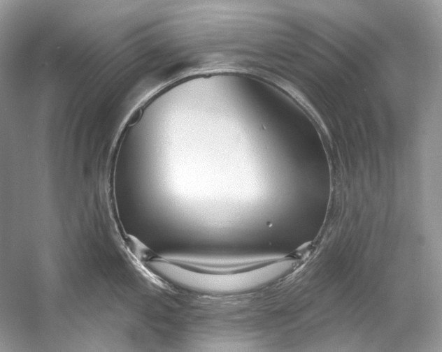 X0000060761197200512011505