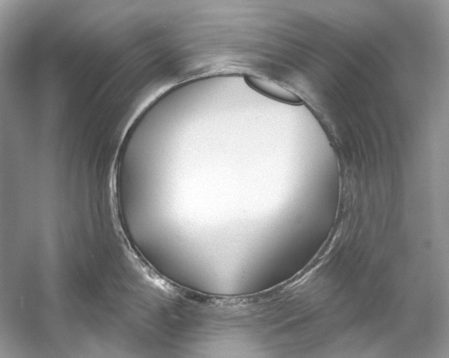 X0000060761198200512011505