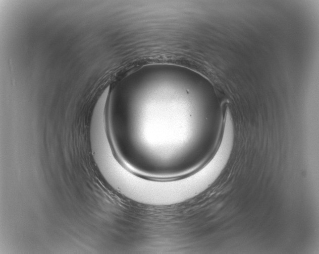 X0000060761202200512011504