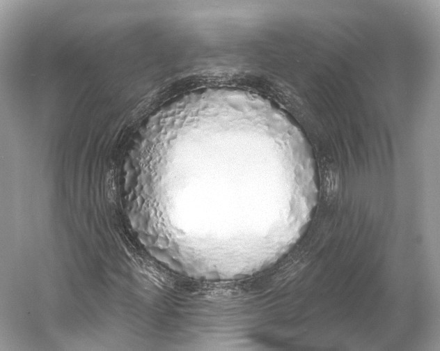 X0000060761204200512011504