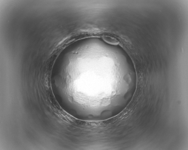 X0000060761205200512011504
