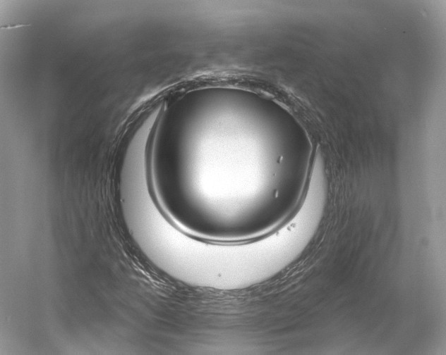 X0000060761206200512011504