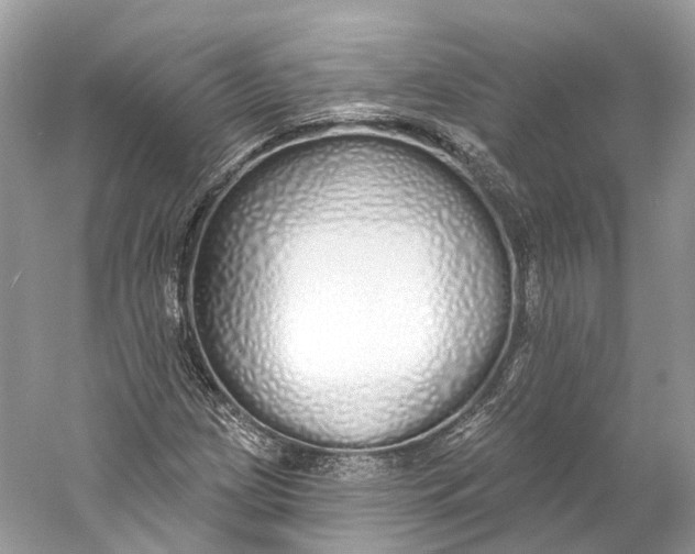 X0000060761209200512011504