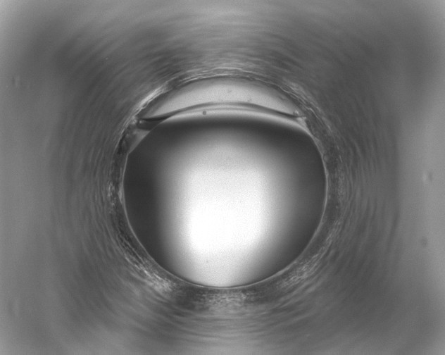 X0000060761210200512011504