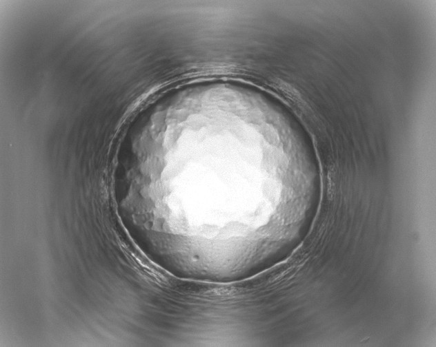 X0000060761212200512011504