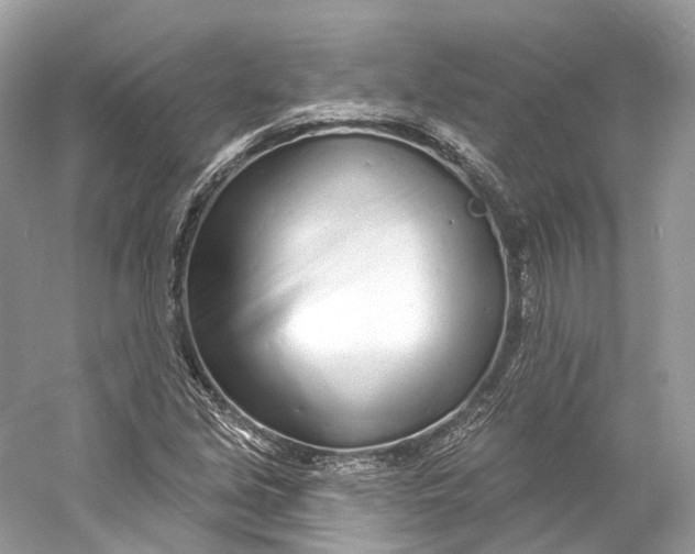 X0000060761213200512011504