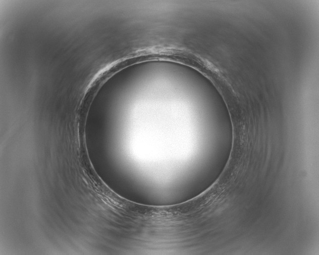 X0000060761214200512011504