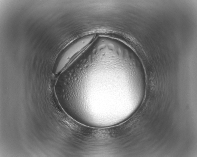 X0000060761217200512011505