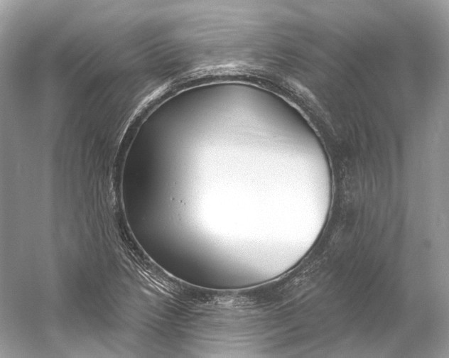 X0000060761218200512011505