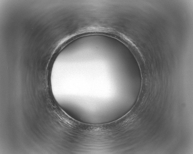 X0000060761222200512011505