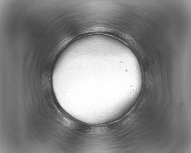 X0000060761225200512011505
