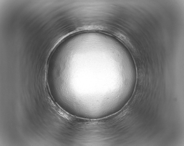 X0000060761228200512011505
