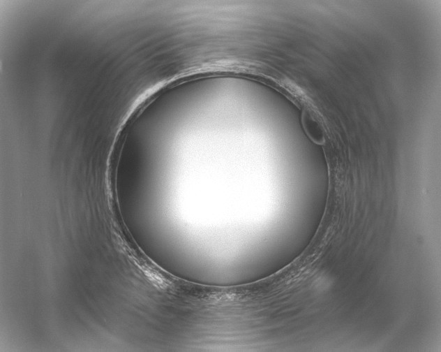X0000060761230200512011505