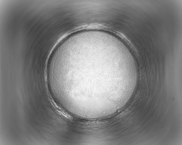 X0000060761232200512011505