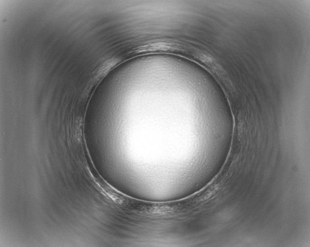 X0000060761233200512011505
