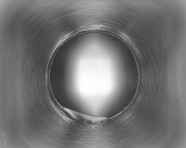 X0000060761234200512011505