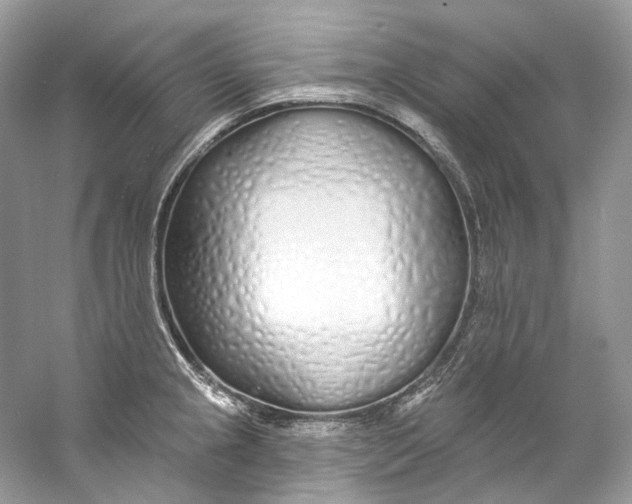 X0000060761237200512011505