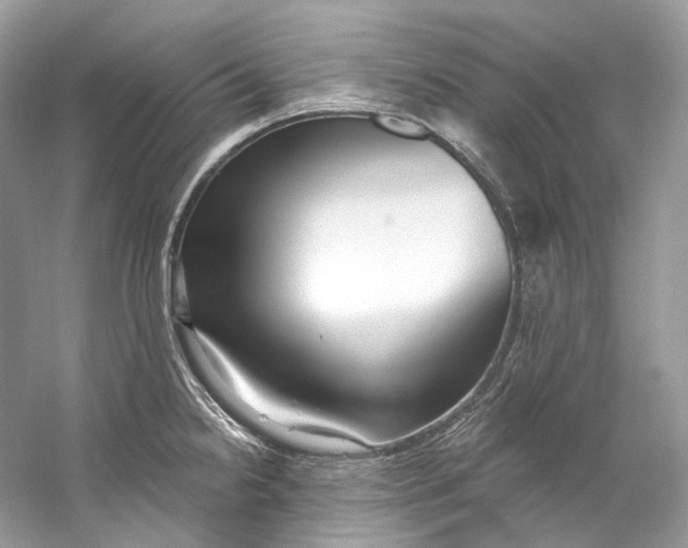 X0000060761238200512011505