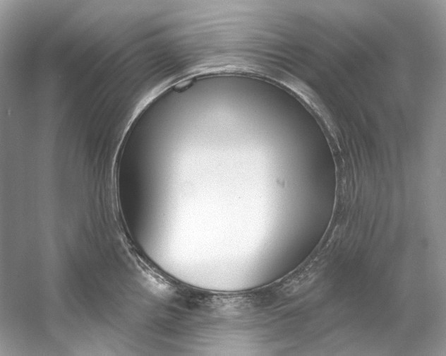 X0000060761242200512011505