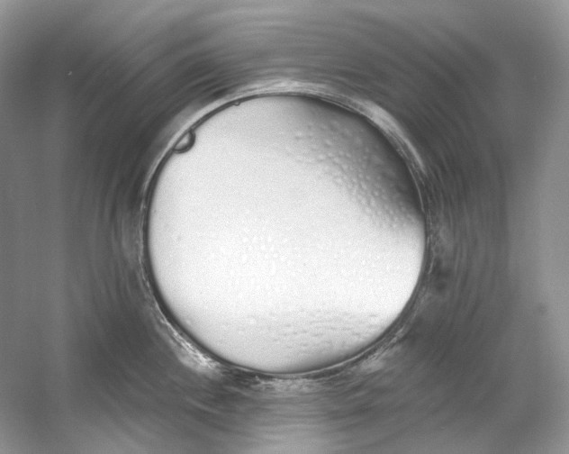 X0000060761244200512011505