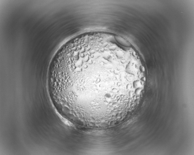 X0000060761245200512011505
