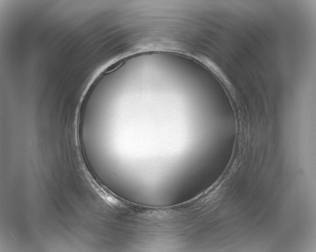 X0000060761246200512011505