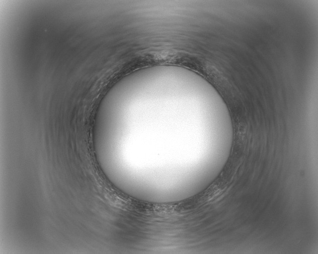 X0000060761249200512011504