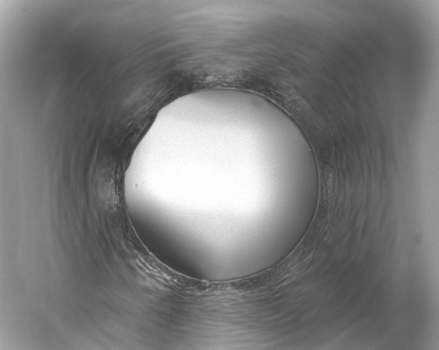 X0000060761250200512011504