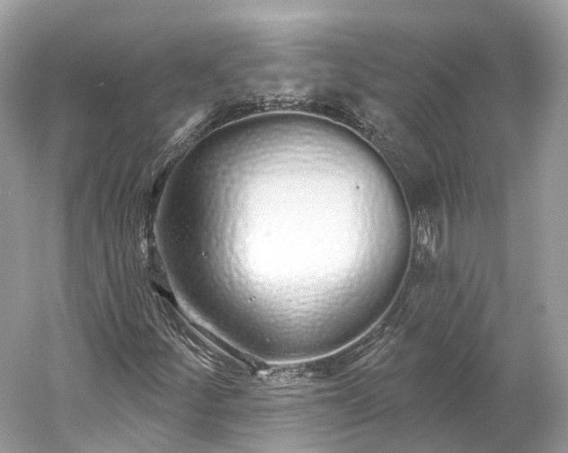 X0000060761252200512011504