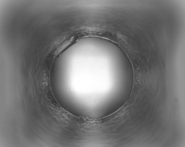 X0000060761253200512011504