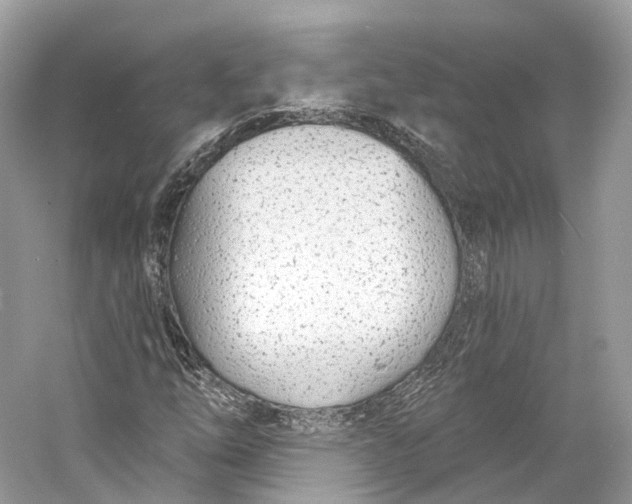 X0000060761254200512011504