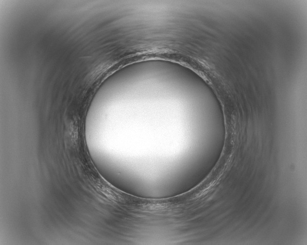 X0000060761257200512011504
