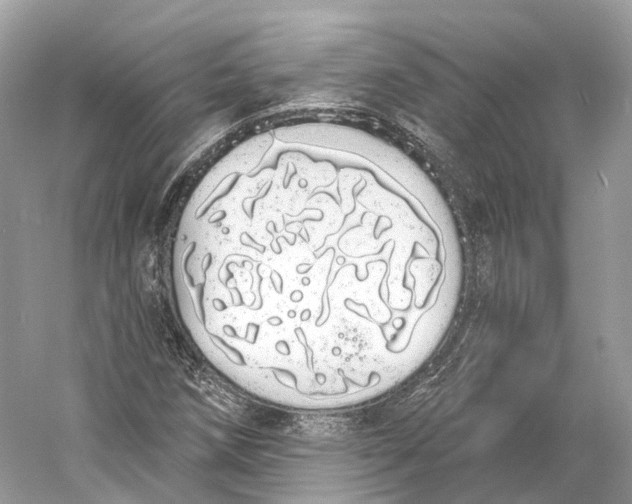 X0000060761258200512011504