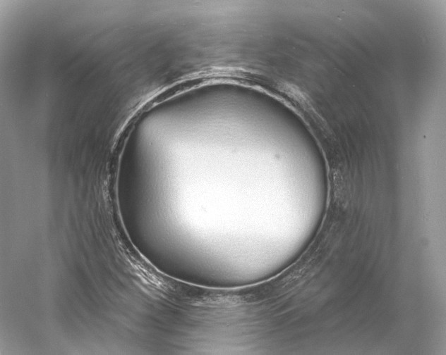 X0000060761260200512011504