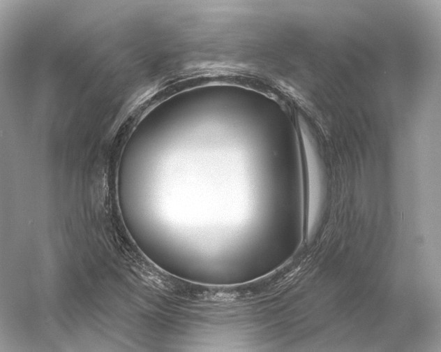 X0000060761261200512011504