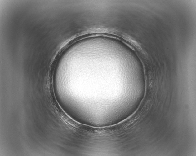 X0000060761264200512011504