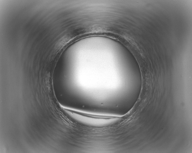 X0000060761265200512011504