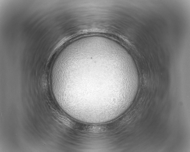 X0000060761266200512011504