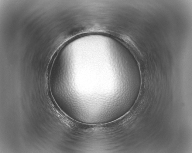 X0000060761268200512011504