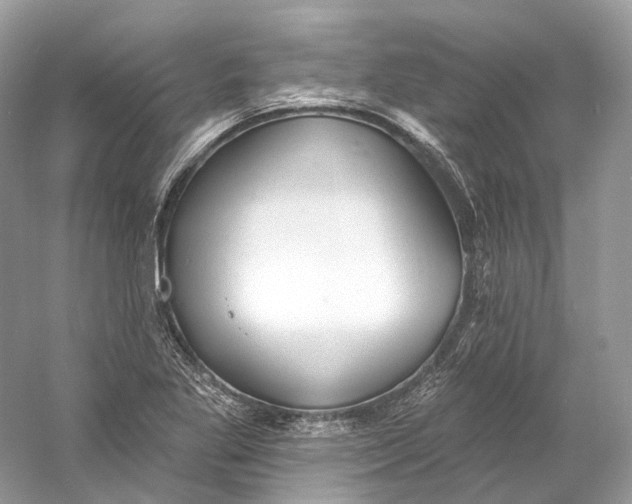 X0000060761269200512011504