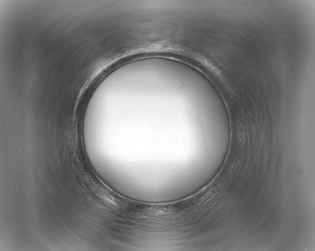X0000060761270200512011504